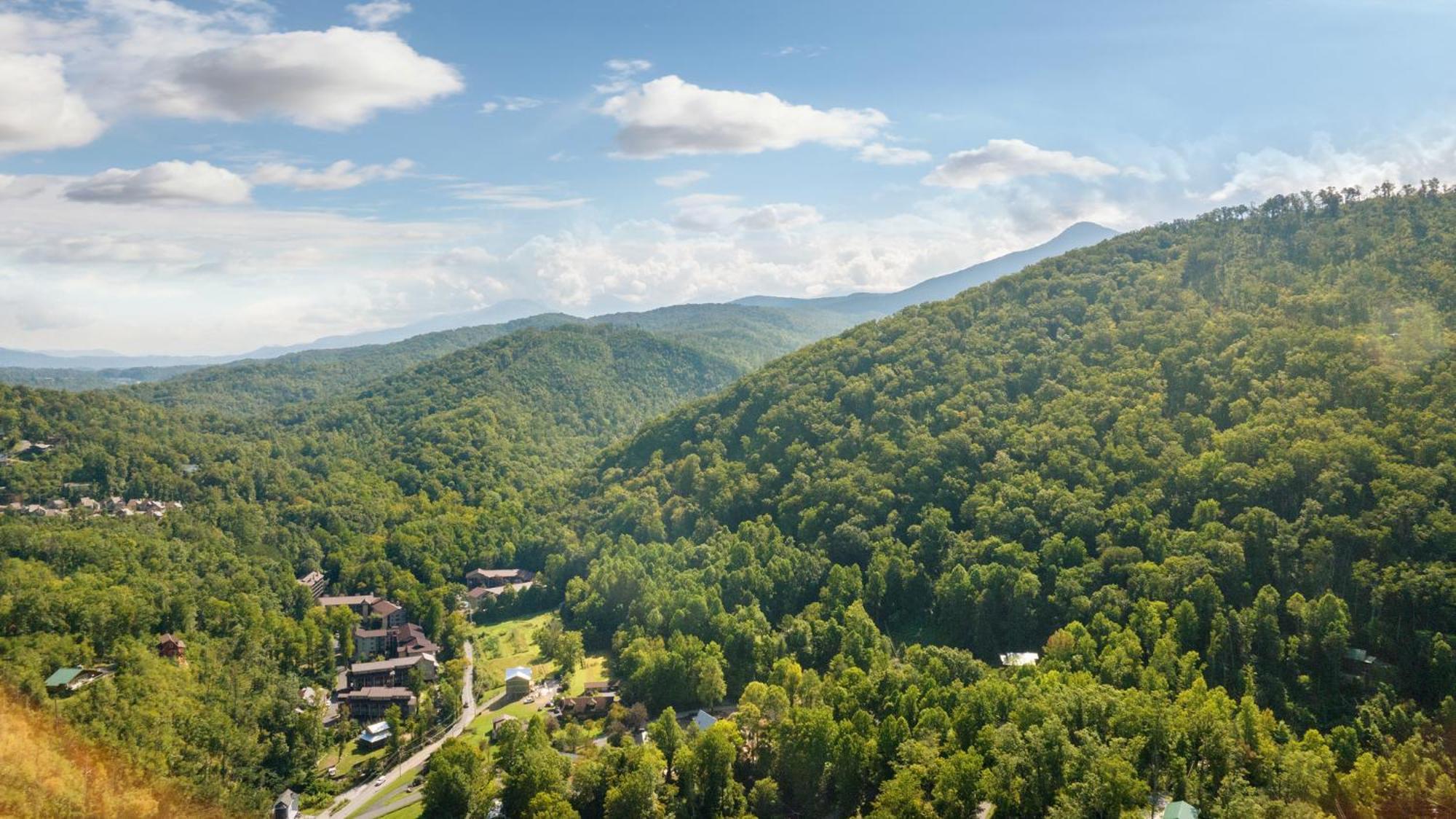 Baloo'S Bungalow Gatlinburg Luaran gambar
